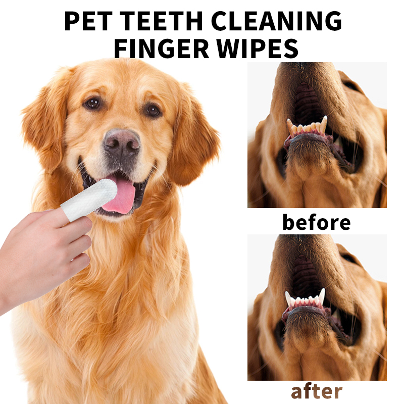 Pet Dental Wipes: A High-Growth Opportunity in Pet Oral Care Market