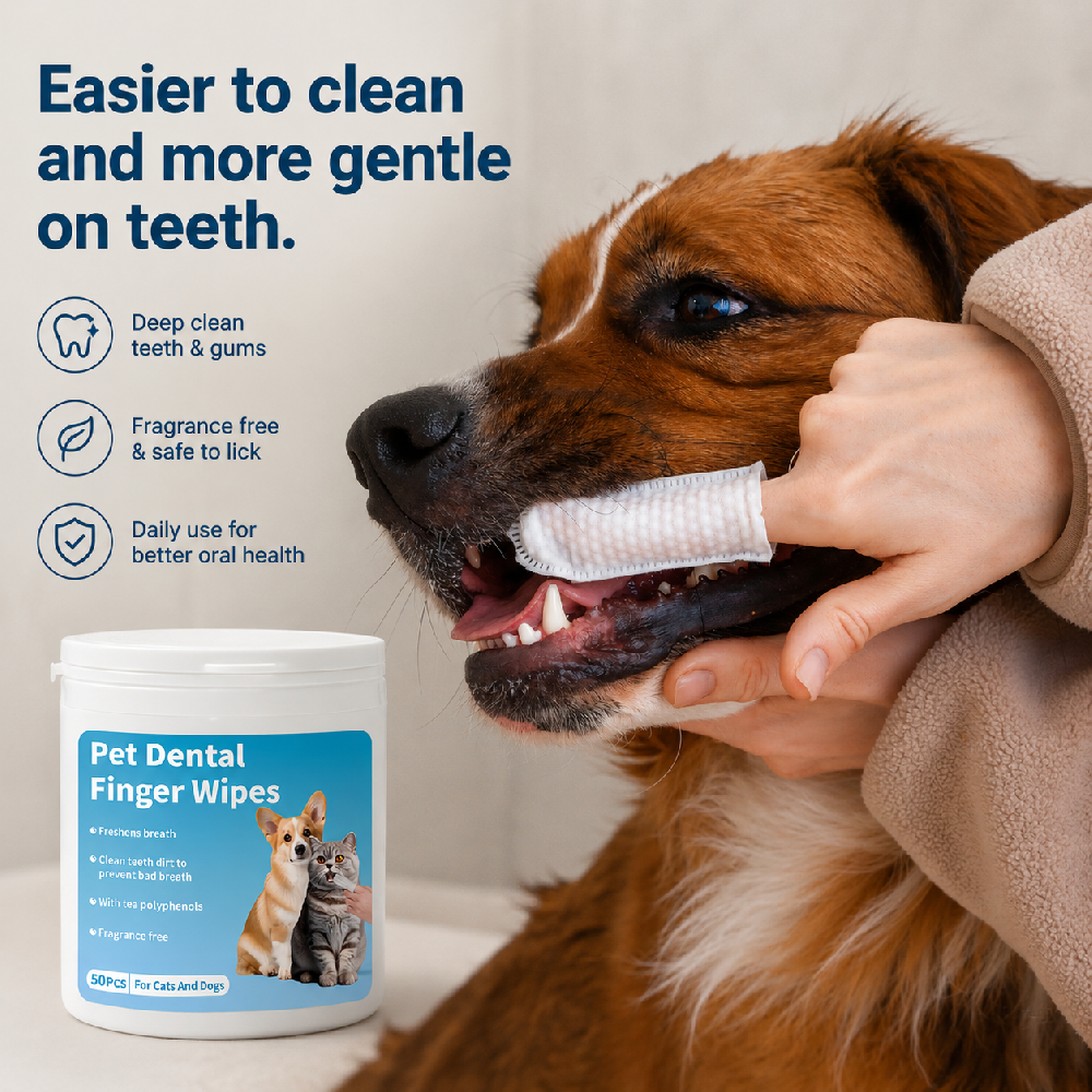 Why Finger Wipes Are Becoming an Interesting Format for Pet Care Brands